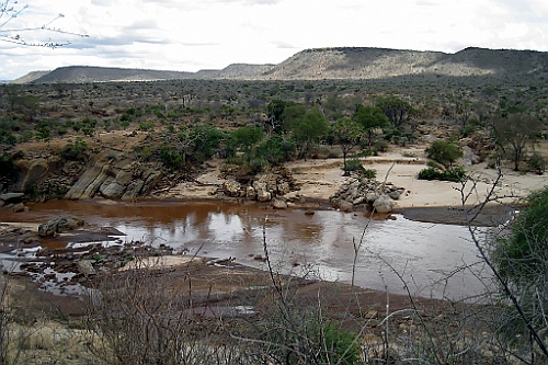 Kenia (370)